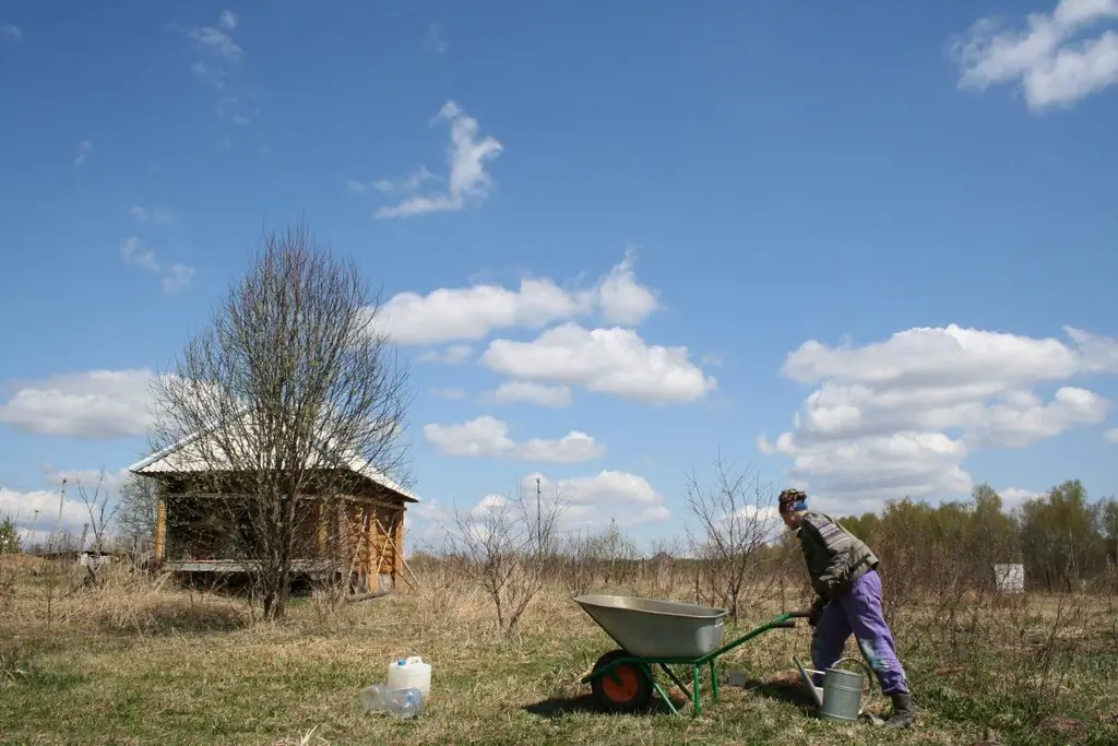 Porządkowanie Wiosną W Ich Letnim Domku (+ Wideo)