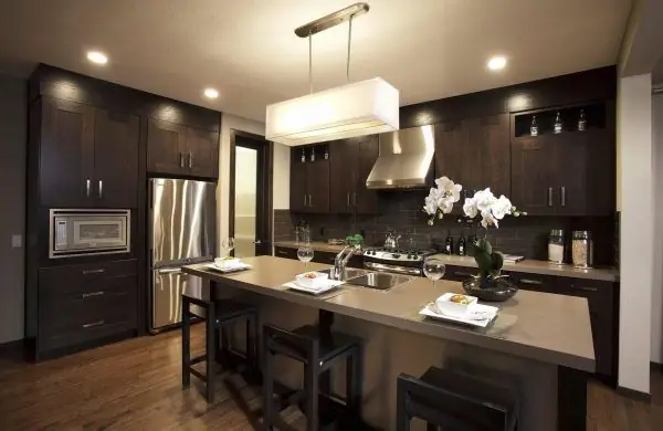 Kitchen in dark colors