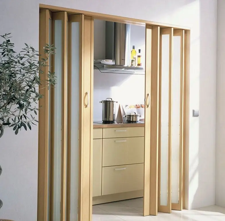 Doors For The Kitchen And Their Varieties With A Description And Characteristics, As Well As Features Of The Device And Operation