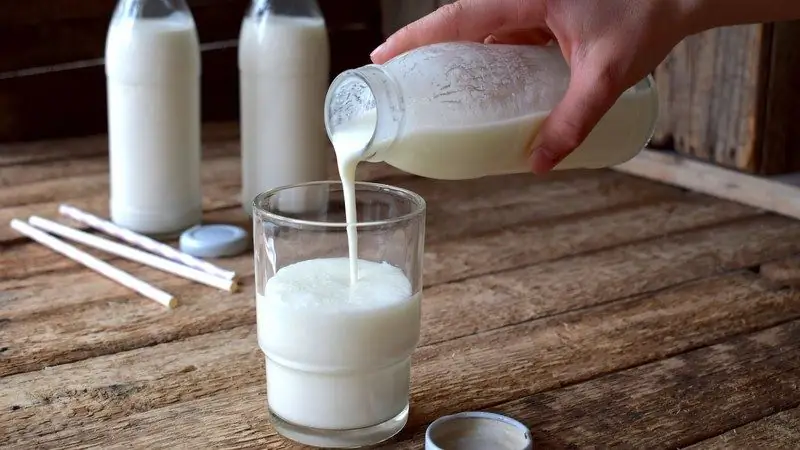 Cosa Si Può Fare Con Latte Acido: Ricette Passo Passo Con Foto, Tra Cui Frittelle, Frittelle, Ricotta E Formaggio