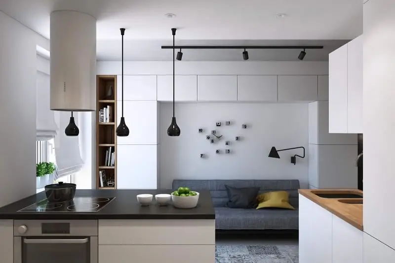 Het Interieur Van De Keuken En Woonkamer In De Stijl Van Minimalisme: Voorbeelden Van Ontwerp, Keuze Van Kleuren En Materialen, Decoratie, Foto's