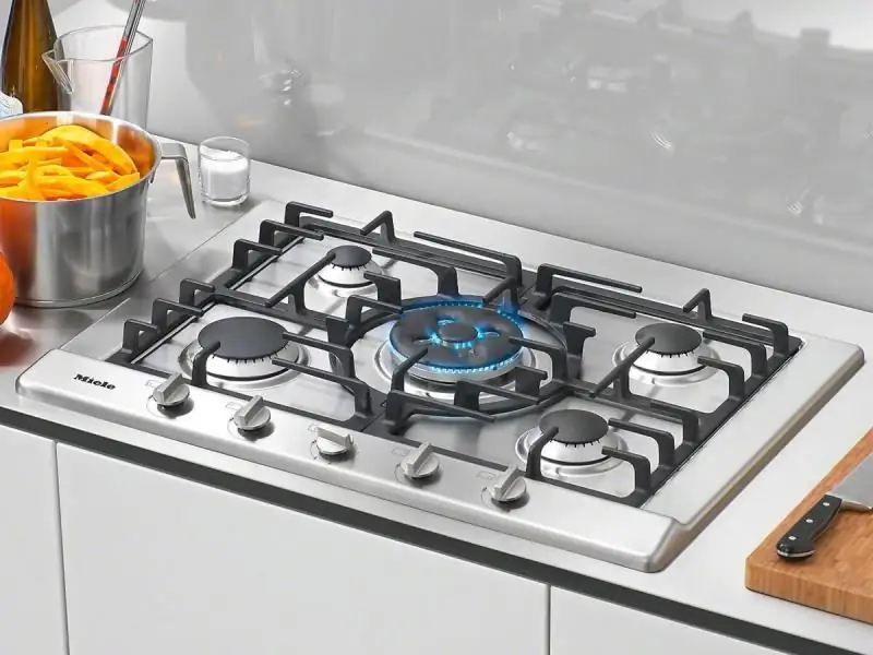 Panel Gas Terbina Dalam Untuk Dapur: Mana Yang Lebih Baik, Gambaran Keseluruhan Model Popular