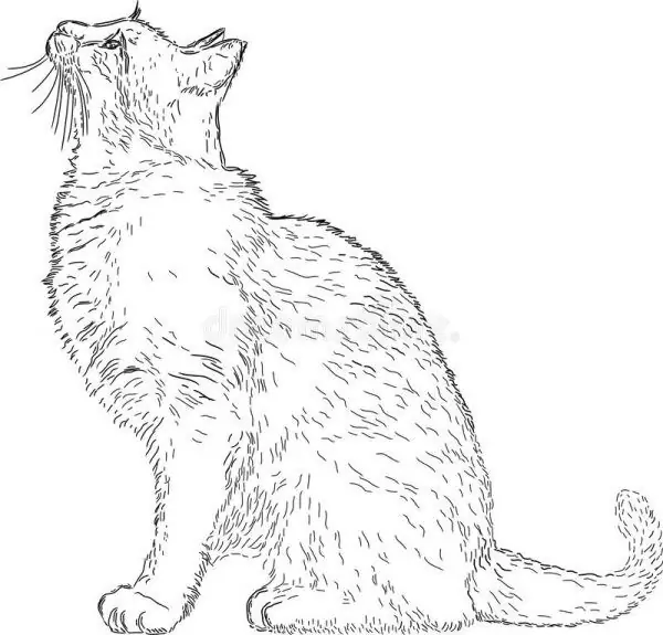 Dibujo de un gato de perfil