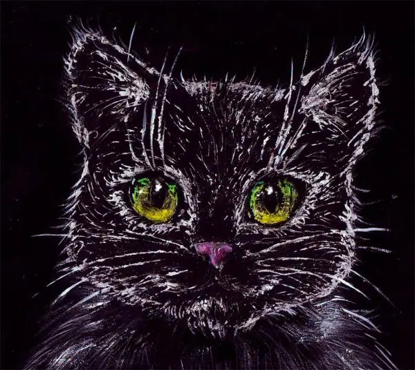 Zeichnen einer Katze mit Scratchboard-Technik