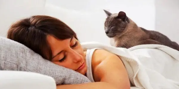 Mulher dormindo na cama branca com um gato cinza nas costas