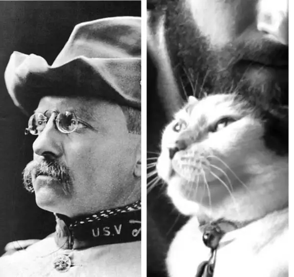 Theodore Roosevelt with a cat