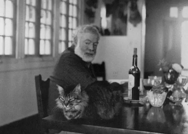 Ernest Hemingway with a cat