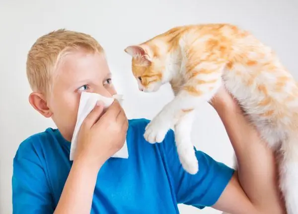 Menino segurando um gato na mão