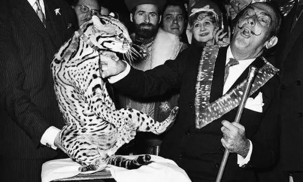 Salvadoro Dali „Ocelot“