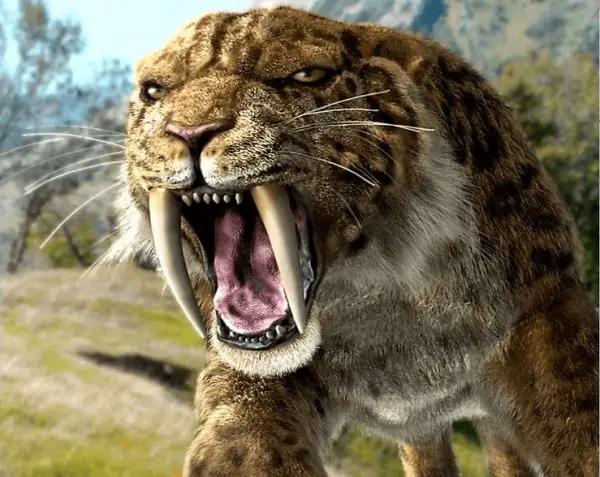 Smilodon