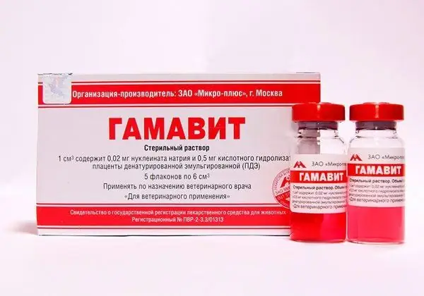 Две бутилки Gamavit