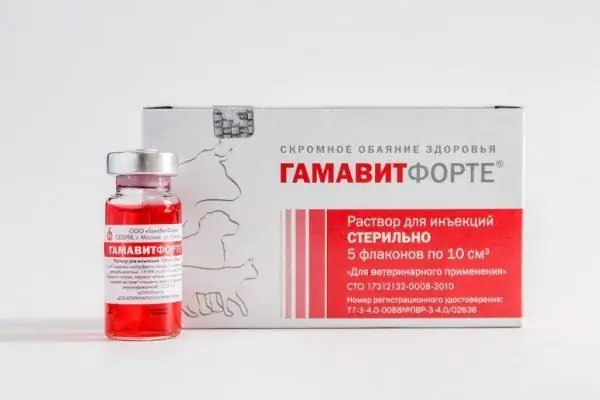 Гамавит форт