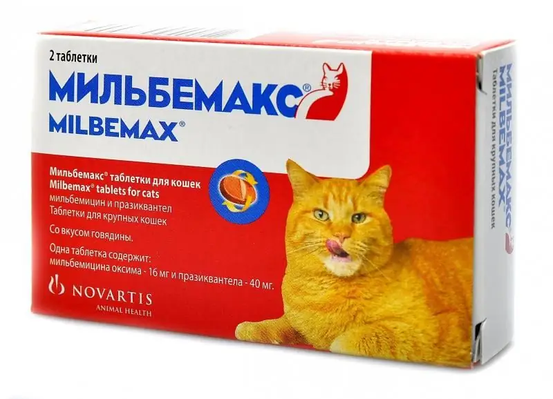 Milbemax Para Gatos: Instruções Para Comprimidos Para Vermes, Composição E Dosagem, Análogos, Uso Em Gatos Adultos E Gatinhos, Comentários