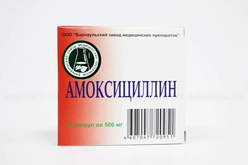 Amoxicillin Rau Miv: Cov Lus Qhia Rau Kev Siv Tshuaj Tua Kab Mob, Daim Ntawv Ntau Dua, Contraindications Thiab Phiv Tshuaj, Ntau Npaum, Tshuaj Xyuas