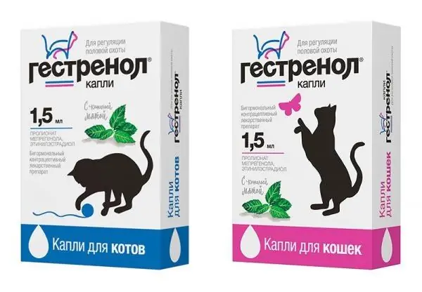 Гестренол за котки