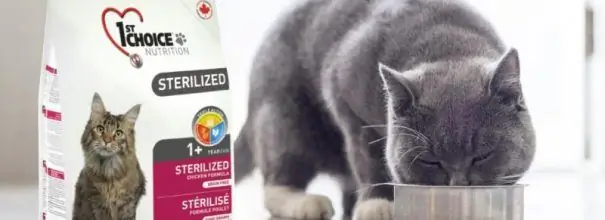 Makanan kering pilihan pertama untuk kucing