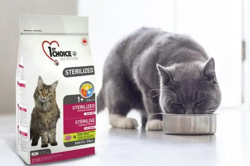 Comida Para Gatos "Fest Choice" De Primera Elección: Reseña, Composición, Variedad, Pros Y Contras, Reseñas De Veterinarios Y Propietarios