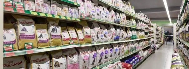 Variétés de nourriture pour chats