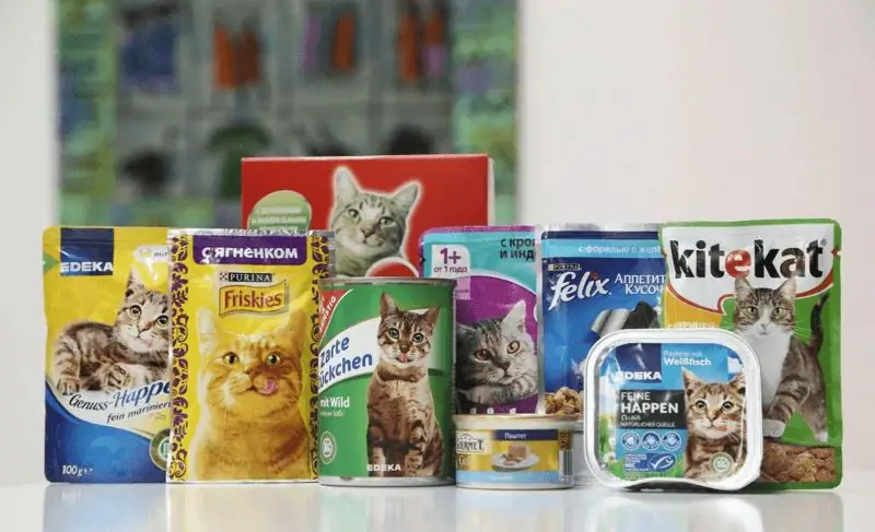 Economy Class Cat Food: A List Of The Best Inexpensive Brands, Composition, Reviews Of Veterinarians And Owners