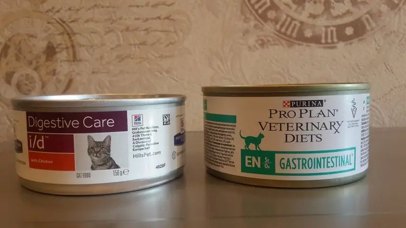 Aliments Vétérinaires Médicaux Pour Chats: Indications D'utilisation, Revue Des Meilleures Marques, Avis Des Vétérinaires Et Des Propriétaires