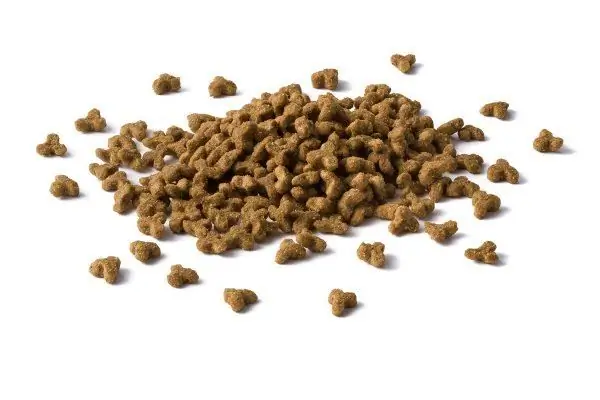 Pellets de comida para gatitos