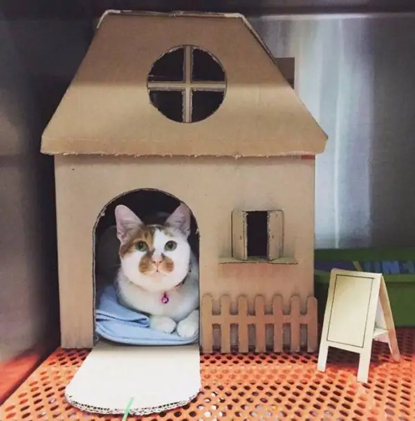 Casa para un gato de una caja de cartón