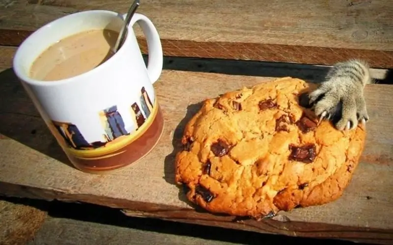 De Dikste Huiskat Ter Wereld: Beoordeling Van Dikke Mannen, Redenen Voor Het Overgewicht Van Een Dier, Is Zo'n Functie Die Nuttig Is Voor De Gezondheid, Foto