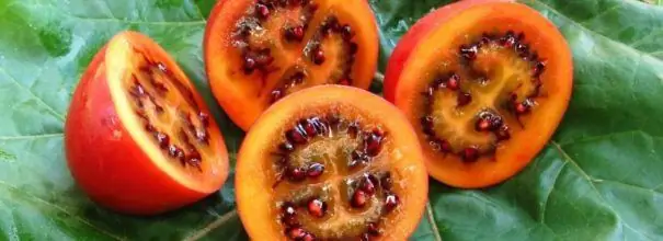 Tamarillo vaisiai ant žalio lapo