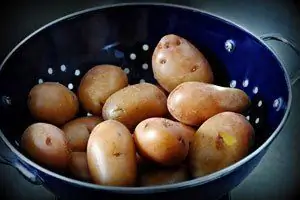 naghugas ng patatas