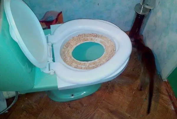 Tray trainer para sa pagsasanay ng mga pusa sa banyo