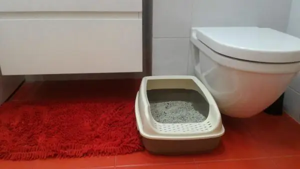 Tray sa tabi ng banyo