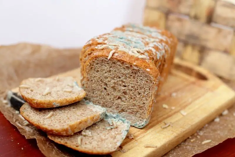 Apa Yang Perlu Dilakukan Sekiranya Anda Makan Roti Berkulat, Termasuk Anak Kecil