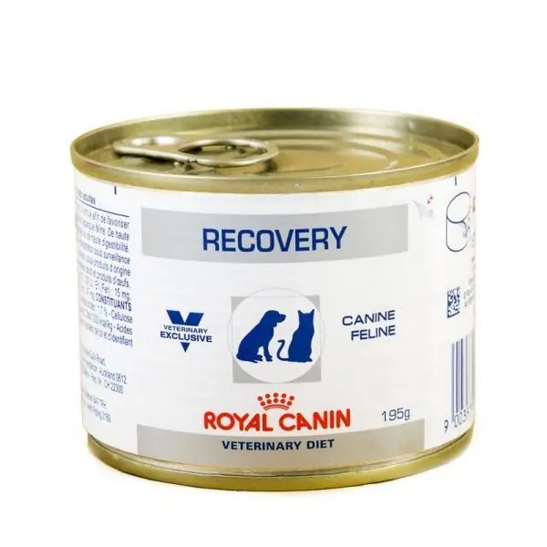 Royal Canin реабилитация кезінде жануарларға арналған суланған тамақ