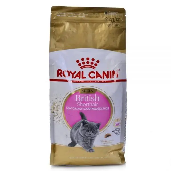 Royal Canin dry food for British kittens