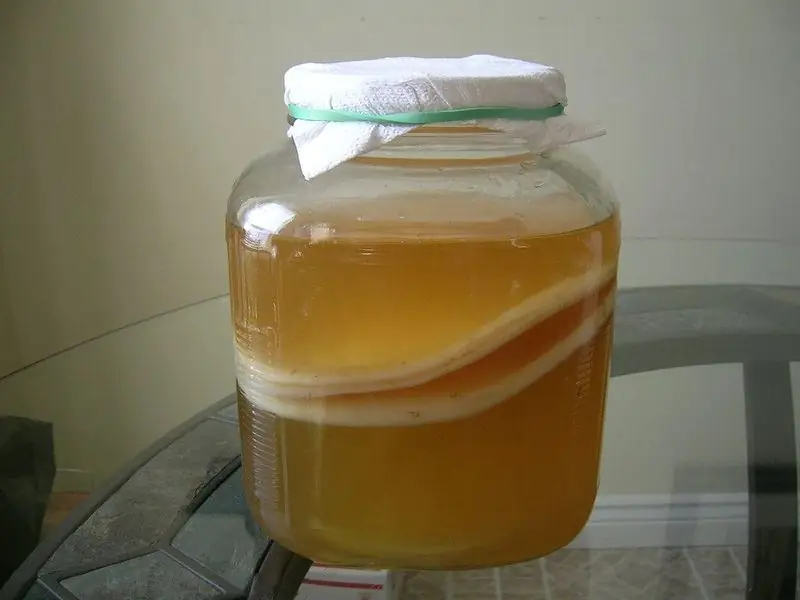 Kombucha: Faedah Dan Kemudaratan Pada Tubuh, Ulasan Doktor