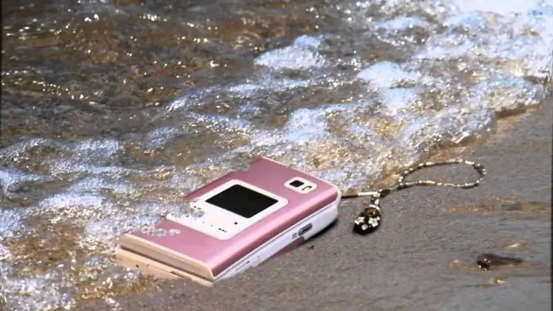 The Phone Fell Into The Water: What To Do, Including With An IPhone In The Toilet, If The Gadget Does Not Turn On, The Speaker Does Not Work