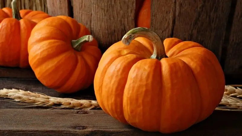 Pumpkin: Benefits And Harms To The Body, Including Seeds, Oils, For Men And Women, Reviews