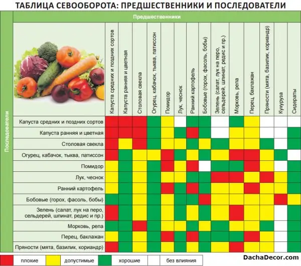 Tabel de rotație a culturilor