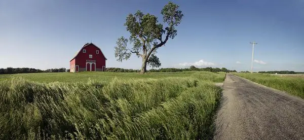 Shamba la Amerika