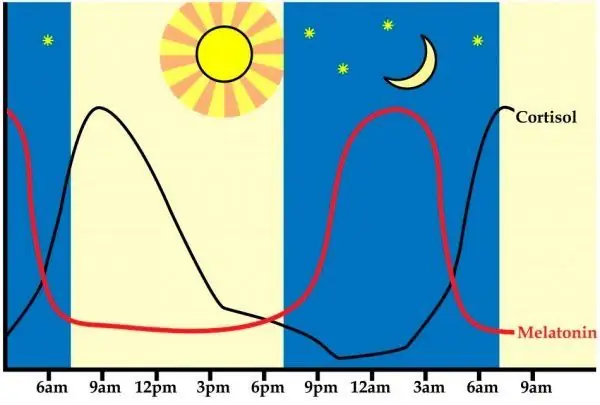 Gün ərzində melatonin və kortizol istehsalı