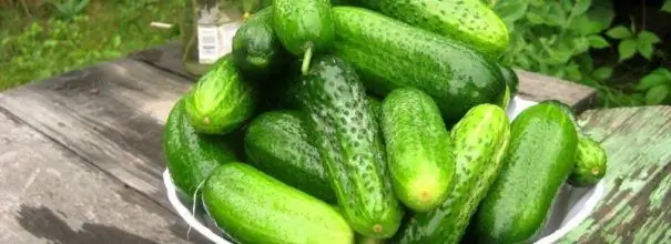 pepino con granos