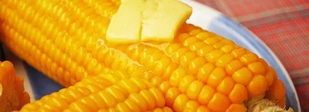 Boiled corn cobs with butter