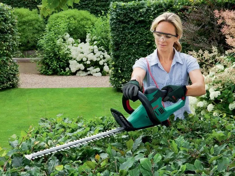 10 Garden Tools Our Grandmothers Couldn't Dream Of