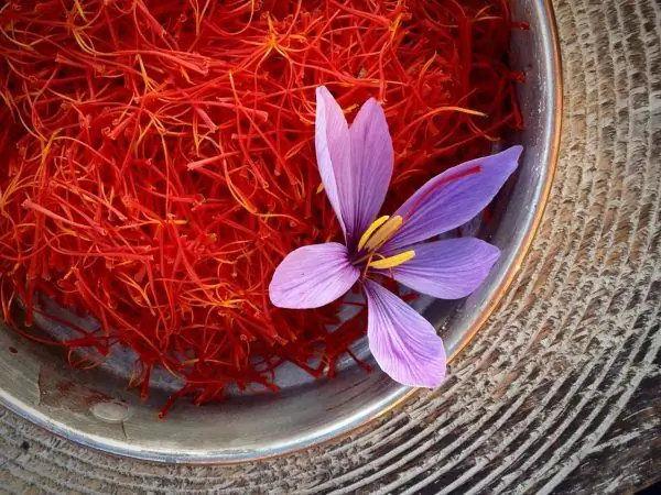 Saffron