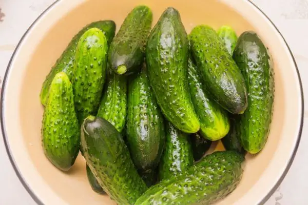 Mga pipino sa isang mangkok para sa pag-atsara