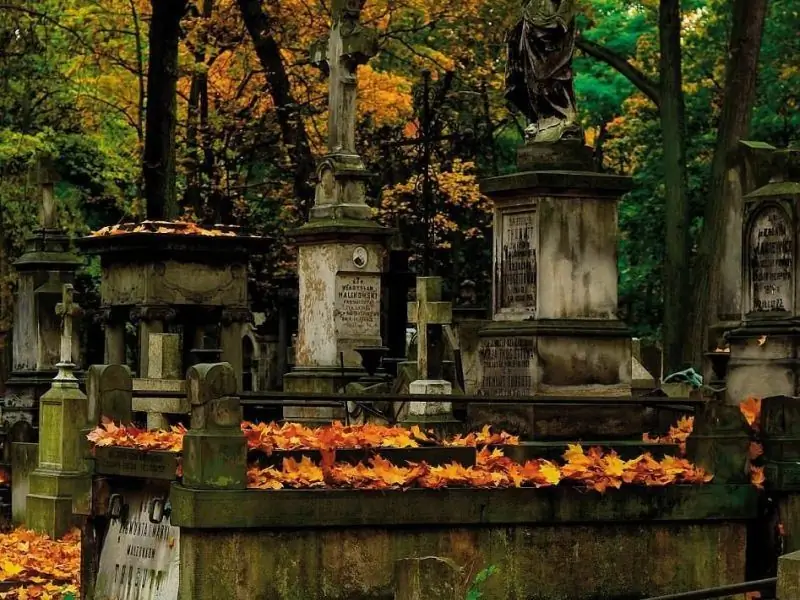 Why You Can't Fall Into A Cemetery: Signs And Facts