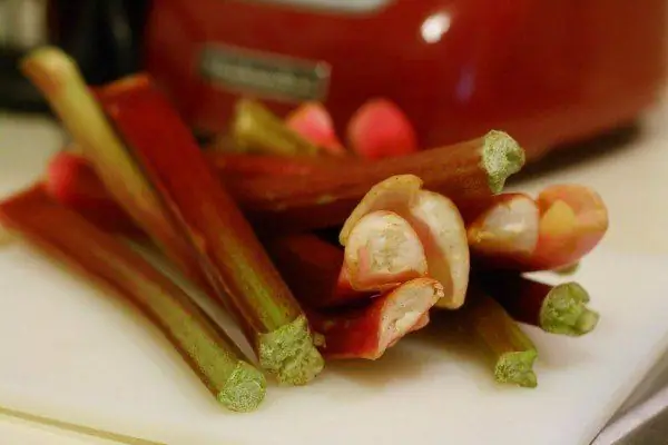 chopped rhubarb