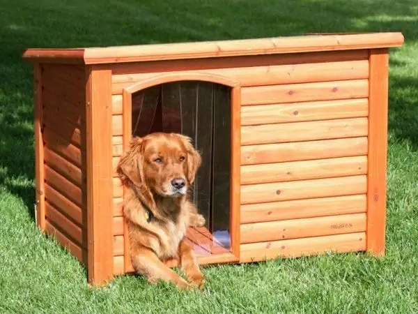 Doe-het-zelf-kennel Voor Een Hond: Stapsgewijze Instructies, Een Tekening Van Hoe Je Een Cabine Isoleert Voor De Winter Met Een Video