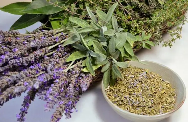 Provencal herbs