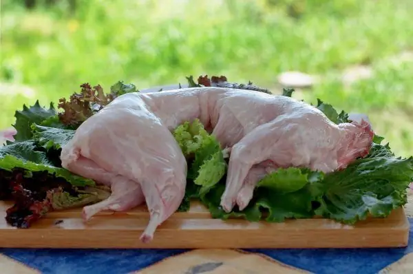 rabbit carcass on lettuce leaves